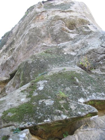 gresieinstarepura.jpg