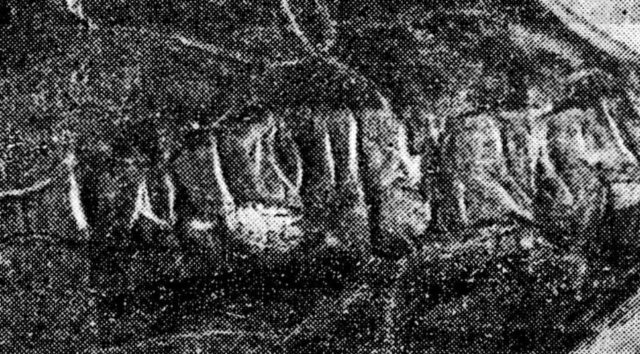 inscriptiapiatraseaflaacumintrocolectieparticulara.jpg