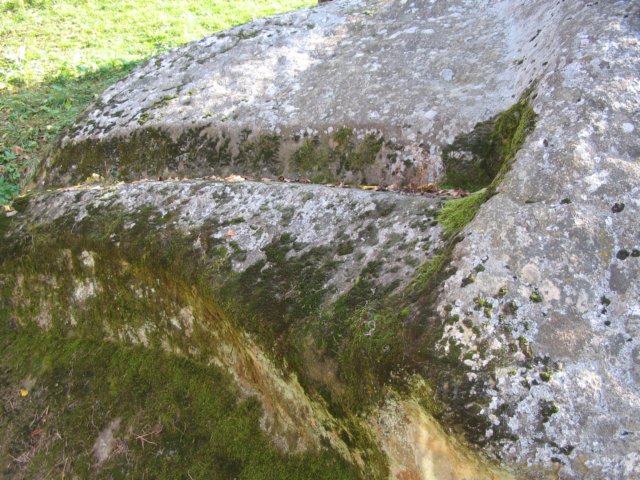 jertfelnicdacvazutlateral.jpg