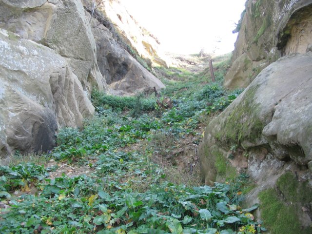 jgheabuldinspreneurcapeplatouldeasuprabisericii.jpg