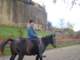 mijlocdetransporttraditionaldeuncalputere_small.jpg