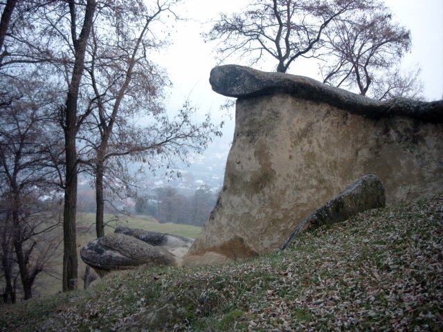 asteptandsezatori.jpg