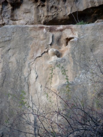 figuristranii.jpg