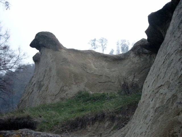 scaunele.jpg